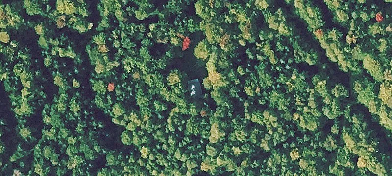 Hunting Land For Sale