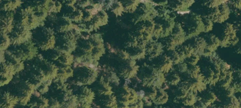 Mountain Retreat Development Land