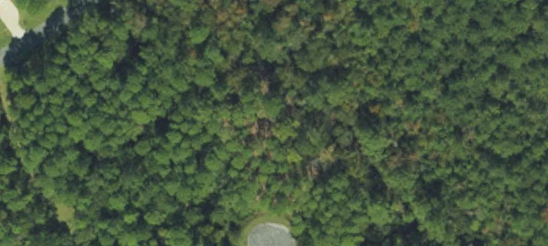 Residential Homesite in Waterfront Community