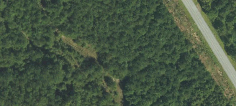 Farmland Tract for Sale