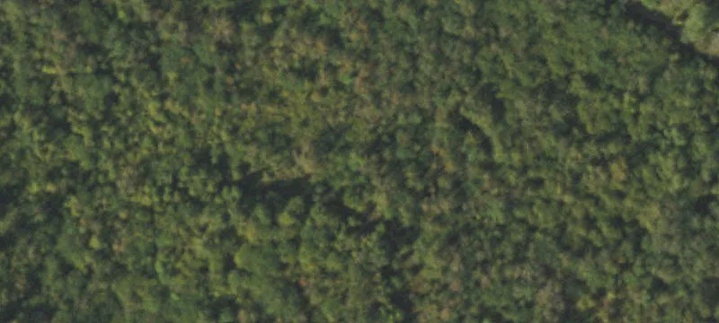 Agricultural Land Parcel