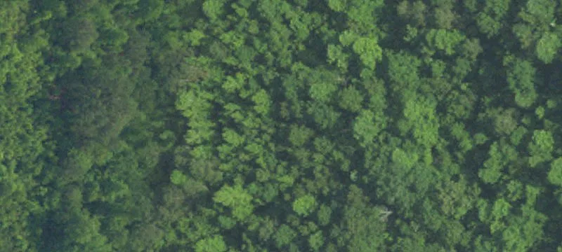 Private Hunting and Recreation Tract