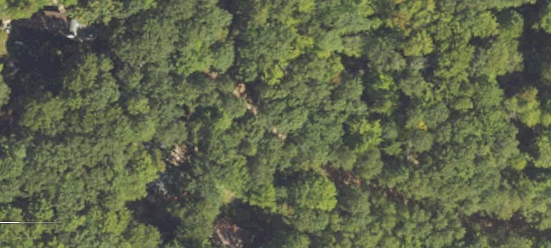 Buildable Wooded Recreational Parcel