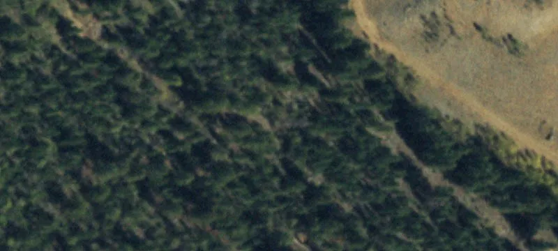 Mountain Aspen Grove Home Lot