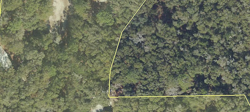 Wooded Agricultural Land Parcel