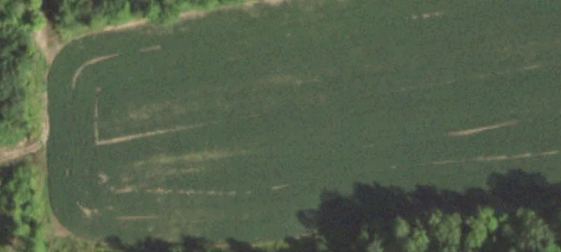 Wooded Recreational Land Parcel
