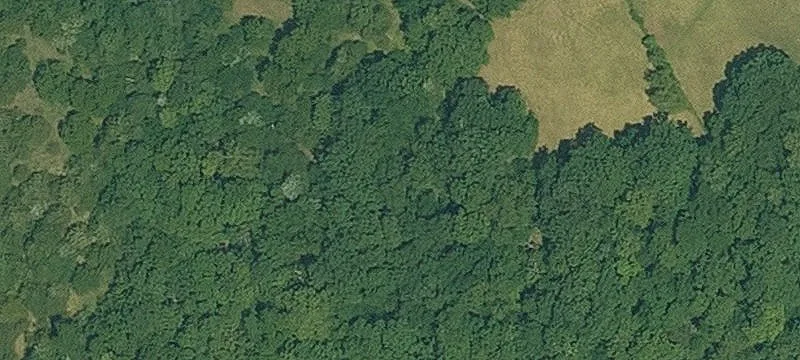 Prime Hunting Land with Home