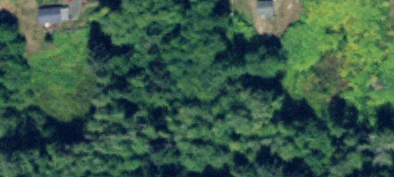 Build-Ready Residential Home Lot