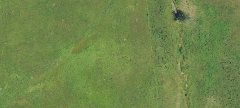 Two-Farm Acreage with Cross-Fencing