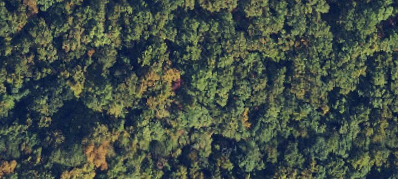 Unrestricted Mountain Retreat Land