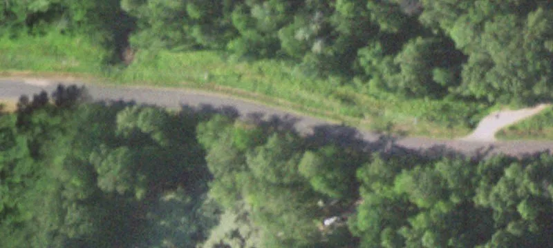 Road-Front Timber Hunting Tract