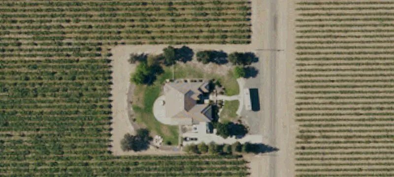 Established Vineyard with Two Homes