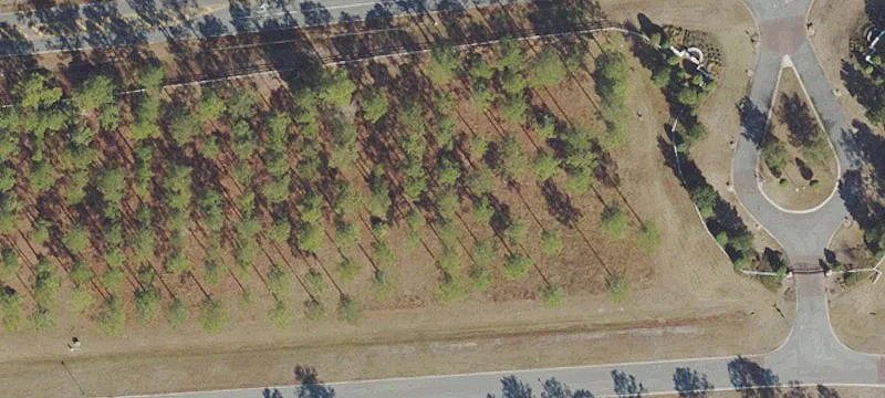 Gated Equestrian Homesite Corner Lot