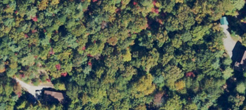 Wooded Custom Home Lot