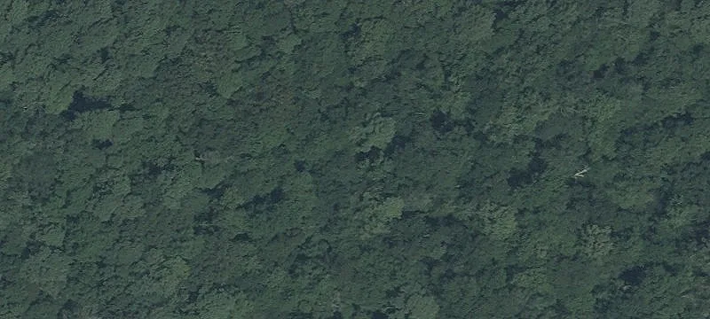 Wooded Hunting and Home Property