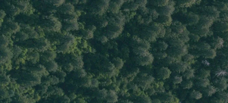 Wooded Hillside Development Lot