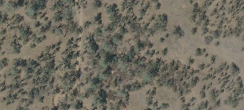 Rural Acreage with Multiple Building Sites