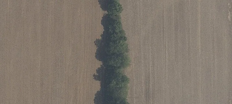 Agricultural Waterfront Land Tract