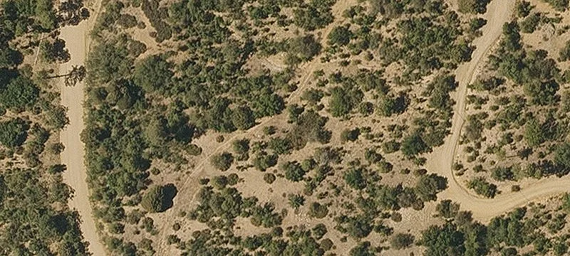 Forested Homesite Near National Forest