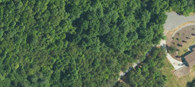 Wooded Cul-de-Sac Home Site