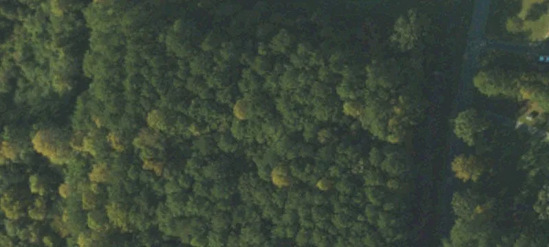 Wooded Residential Home Lot
