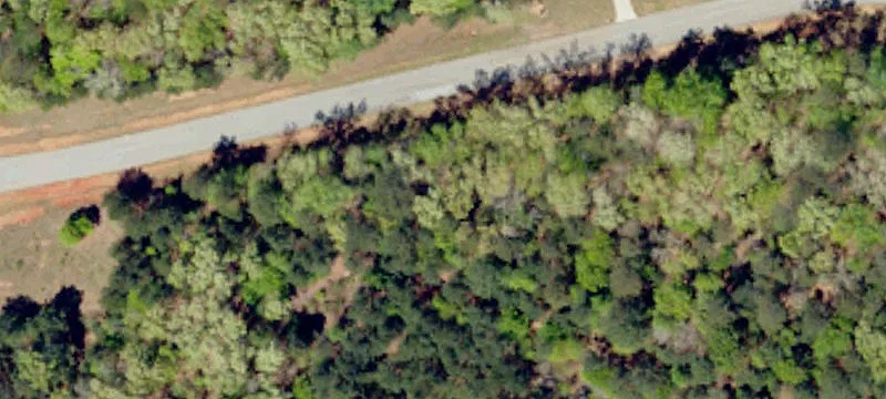Wooded Lakefront Homesite
