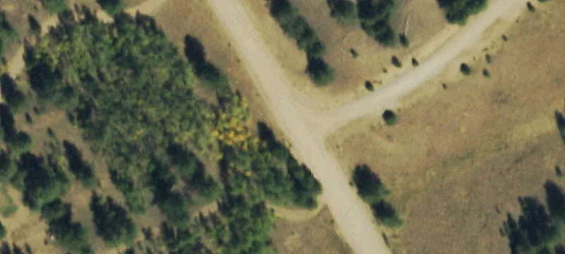 View Lot with Aspen Grove