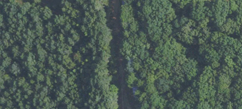 Recreational Hunting Land with Lake