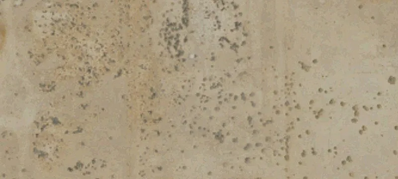 Investment Land Parcel