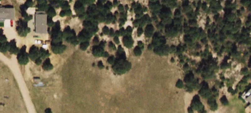 Acreage with Open Meadows and Pine