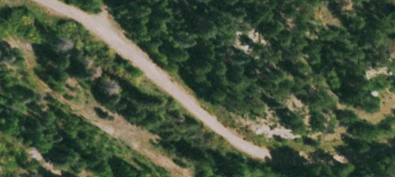 Mountain Recreation Land with National Forest Access