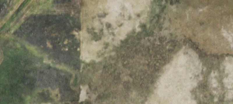 Recreational Hunting Land Parcel