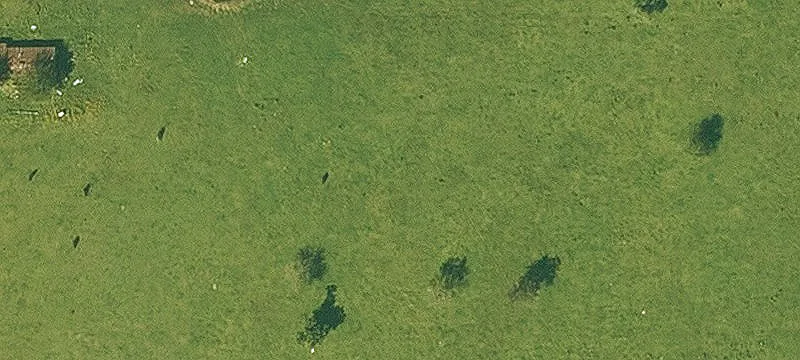 Partially Fenced Recreational Acreage