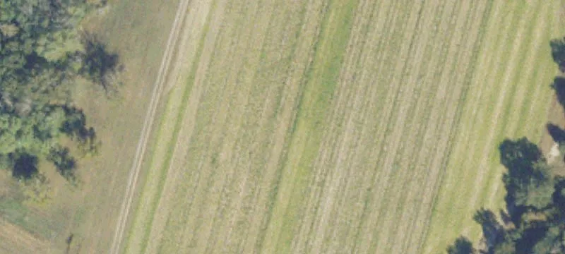 Recreational Farm Tract with Pond
