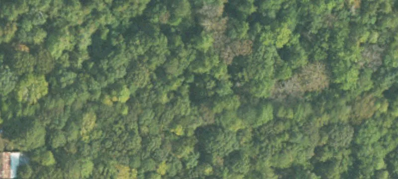 Unrestricted Waterfront Land Parcel