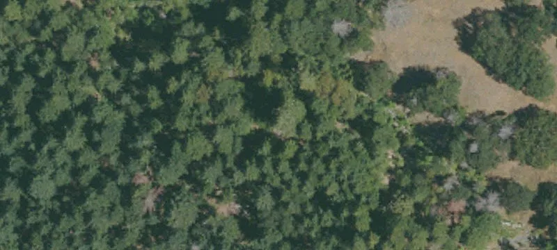 Raw Land with Year-Round Access
