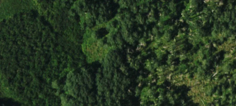Mountain Retreat Land with Stream