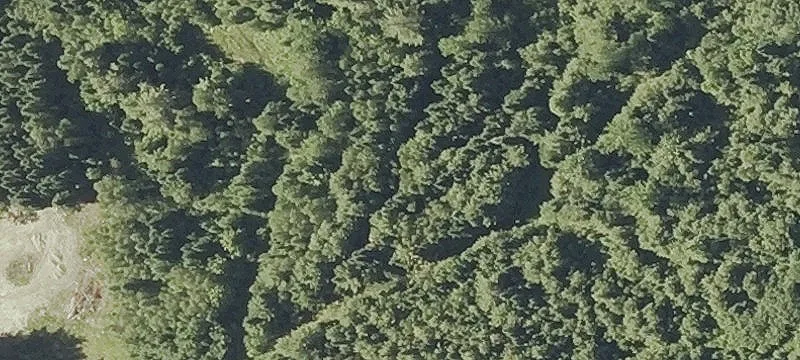 Wooded Residential Development Lot