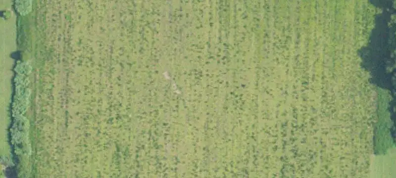Rural Agriculture Tract