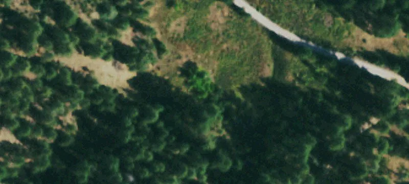 Recreation and Forest-Adjacent Land