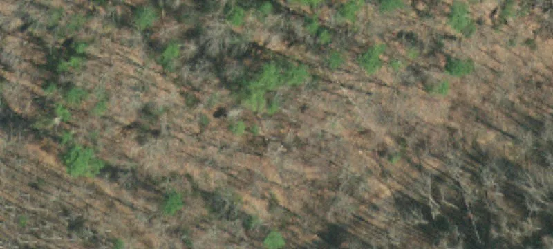 Wooded Residential Lot at Gated Entrance