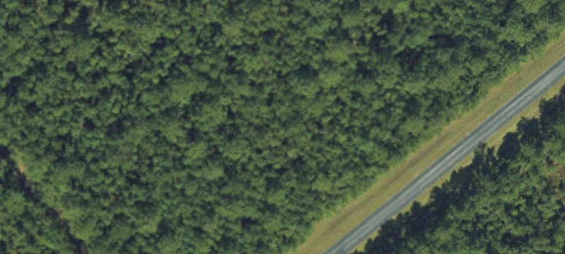 Waterfront Homesite with Extensive Shoreline
