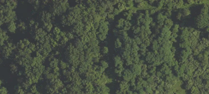 Farmland Tract Near Elementary School