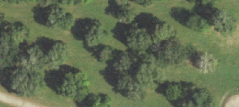 Residential Acreage Lot in Community
