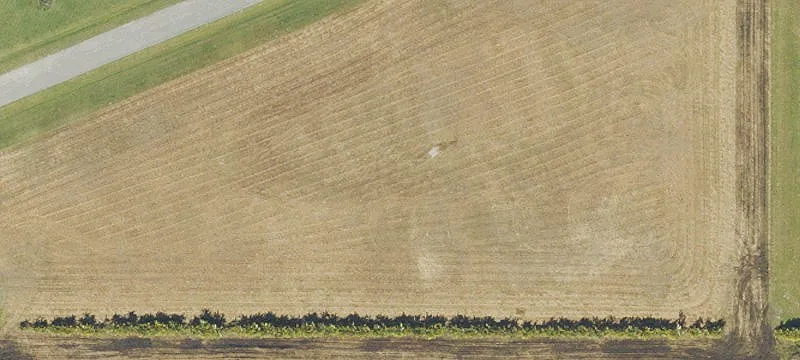 Gated Equestrian Homesite on Acres
