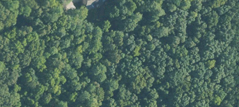 Wooded Acreage Tract for Development