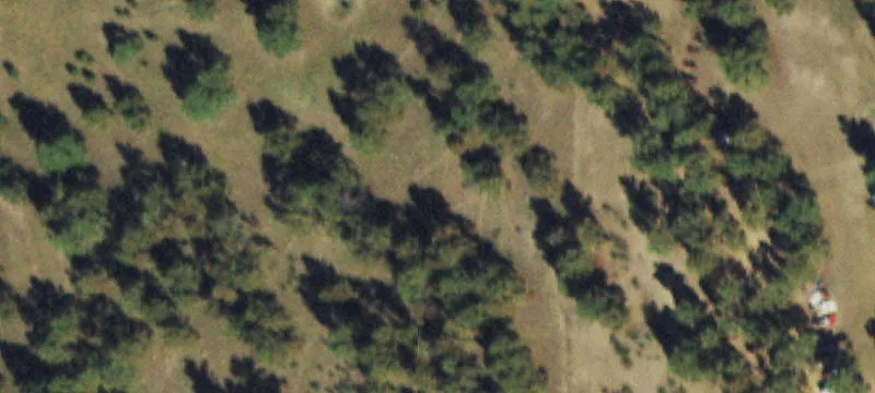 Hunting & Ranch Land with Water Rights