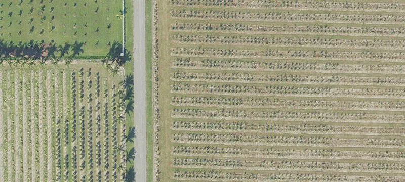 Gated Community Corner Residential Lot