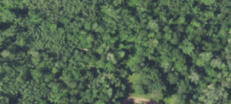Wooded Residential Lot in Recreational Community