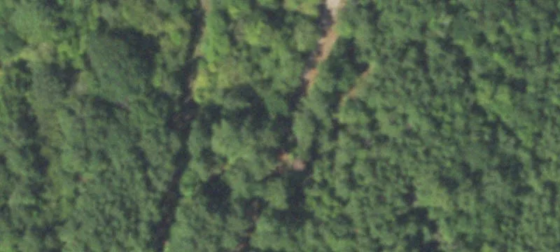 Two-Parcels Timberland Tract